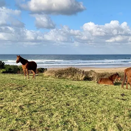 Casa Paloma فيلة