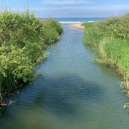 Casa Paloma فيلة