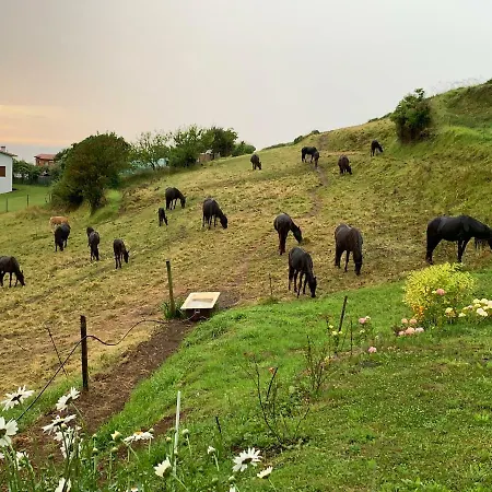 Casa Paloma فيلة La Vega
