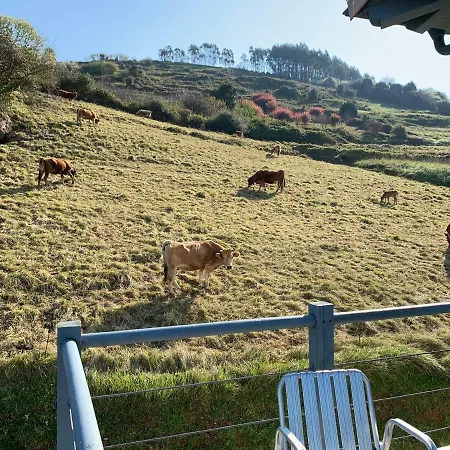 Casa Paloma La Vega