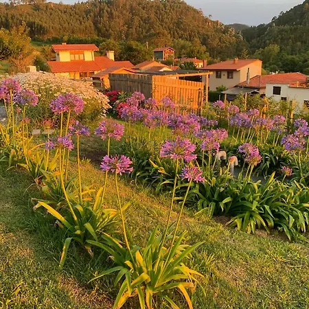 Casa Paloma