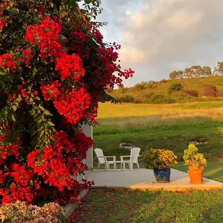 Casa Paloma Villa