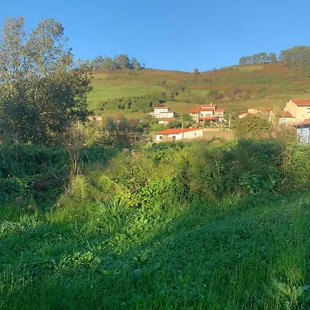 Casa Paloma *