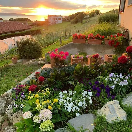 Casa Paloma Villa Vega (Ribadesella)