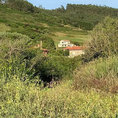 Casa Paloma